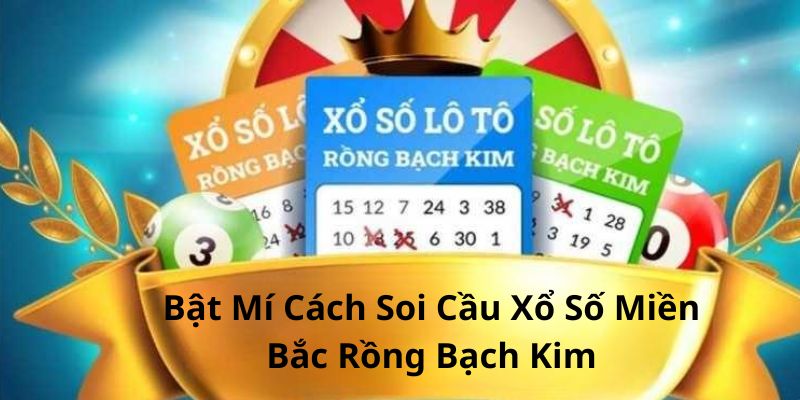 soi cầu xổ số miền bắc rồng bạch kim